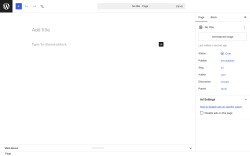 Page screenshot: Add Page &lsaquo; Test site &mdash; WordPress