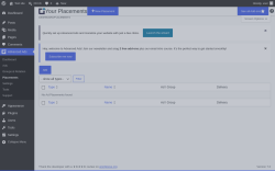 Page screenshot: Advanced Ads &rarr; Placements