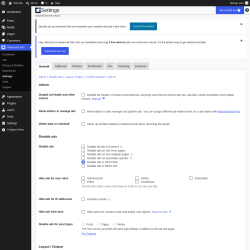 Page screenshot: Advanced Ads &rarr; Settings