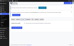 Page screenshot: Advanced Ads &rarr; Settings &rarr; Privacy