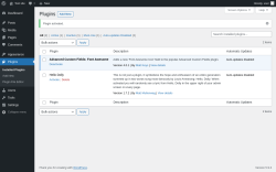 Page screenshot: Plugins &lsaquo; Test site &mdash; WordPress