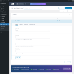 Page screenshot: Custom Fields &rarr; Add New