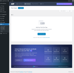 Page screenshot: ACF &rarr; Post Types
