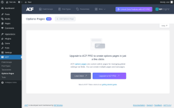 Page screenshot: ACF &rarr; Options Pages