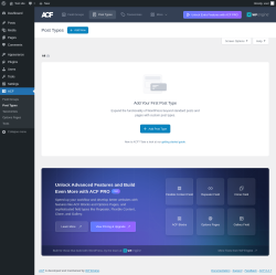 Page screenshot: ACF &rarr; Post Types