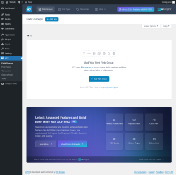 Page screenshot: ACF