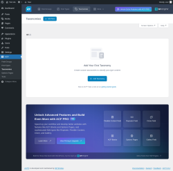 Page screenshot: ACF → Taxonomies