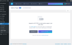 Page screenshot: ACF → Options Pages