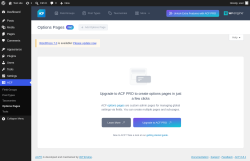 Page screenshot: ACF &rarr; Options Pages