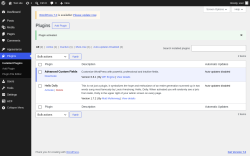 Page screenshot: Plugins &lsaquo; Test site &mdash; WordPress