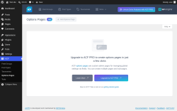 Page screenshot: ACF &rarr; Options Pages