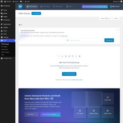 Page screenshot: ACF