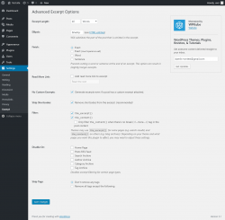 Page screenshot: Settings  &rarr; Excerpt