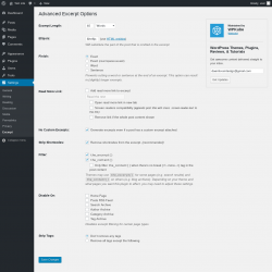 Page screenshot: Settings &rarr; Excerpt