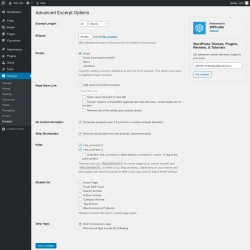 Page screenshot: Settings &rarr; Excerpt