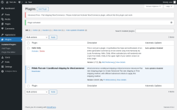 Page screenshot: Plugins &lsaquo; Test site &mdash; WordPress