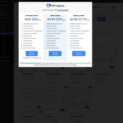 Page screenshot: Settings &rarr; Advanced Google reCAPTCHA
