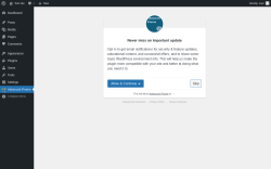 Page screenshot: Advanced iFrame ‹ Test site — WordPress