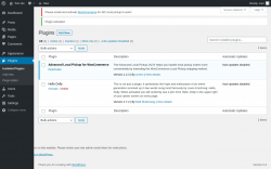 Page screenshot: Plugins ‹ Test site — WordPress