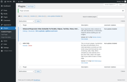 Page screenshot: Plugins ‹ Test site — WordPress