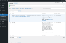 Page screenshot: Plugins ‹ Test site — WordPress