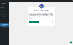 Page screenshot: Advanced Visual Elements ‹ Test site — WordPress