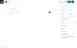 Page screenshot: Add New Page &lsaquo; Test site &mdash; WordPress