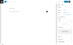 Page screenshot: Add New Page &lsaquo; Test site &mdash; WordPress
