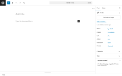 Page screenshot: Add New Post &lsaquo; Test site &mdash; WordPress