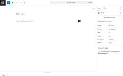 Page screenshot: Add New Page &lsaquo; Test site &mdash; WordPress