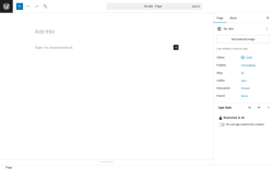 Page screenshot: Add Page ‹ Test site — WordPress