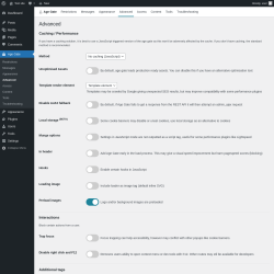 Page screenshot: Age Gate → Advanced