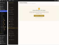 Page screenshot: AgencyBoost &rarr; Schema Markup 🔒