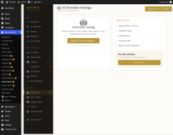 Page screenshot: AgencyBoost &rarr; AI Providers 🔒