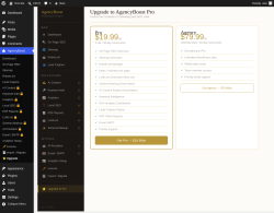 Page screenshot: AgencyBoost &rarr; ⭐ Upgrade