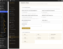 Page screenshot: AgencyBoost &rarr; Analytics Setup