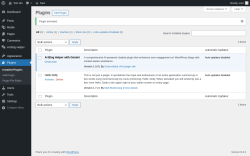 Page screenshot: Plugins &lsaquo; Test site &mdash; WordPress