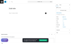 Page screenshot: Add Post &lsaquo; Test site &mdash; WordPress