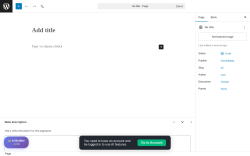 Page screenshot: Add Page &lsaquo; Test site &mdash; WordPress