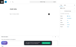 Page screenshot: Add Page &lsaquo; Test site &mdash; WordPress