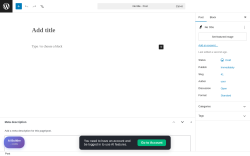 Page screenshot: Add Post &lsaquo; Test site &mdash; WordPress