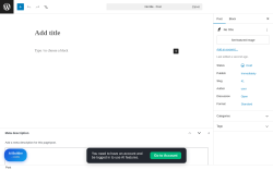 Page screenshot: Add Post &lsaquo; Test site &mdash; WordPress