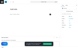 Page screenshot: Add Page &lsaquo; Test site &mdash; WordPress
