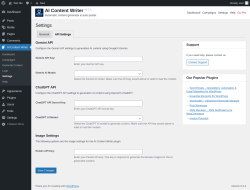 Page screenshot: AI Content Writer &rarr; Settings &rarr; 
				API Settings			