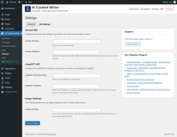 Page screenshot: AI Content Writer &rarr; Settings &rarr; 
				API Settings			