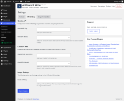 Page screenshot: AI Content Writer &rarr; Settings &rarr; 
				API Settings			