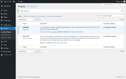 Page screenshot: Plugins ‹ Test site — WordPress