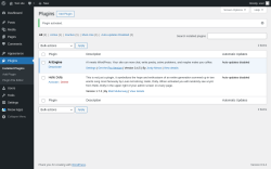 Page screenshot: Plugins &lsaquo; Test site &mdash; WordPress