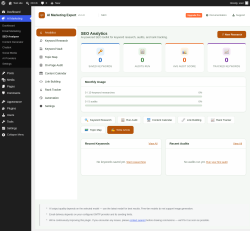 Page screenshot: AI Marketing &rarr; SEO Analyzer
