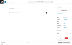 Page screenshot: Add Post &lsaquo; Test site &mdash; WordPress